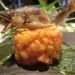 日本料理 TOBIUME - ＴＯＢＩＵＭＥ夏のスペシャリテ