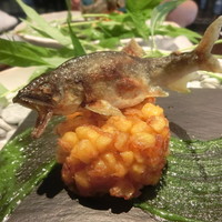 日本料理 TOBIUME - 長野より天龍鮎の塩焼き　朝採れゴールドラッシュ
