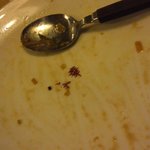 ラーメンハウス 春華 - 