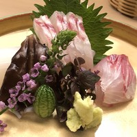 割烹 白鷹 - お造りの四点盛り。山葵は静岡からタネ分けした吉和産。