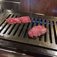 NO MEAT, NO LIFE.2nd - 