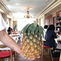 Benoit Alain Ducasse - 