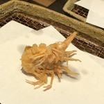 みかわ 是山居 - 