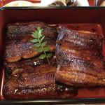 かも川 - 肉厚で大きな鰻一匹分