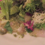 ブション - 鯛のカルパッチョ