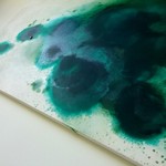 ドメイヌ ドゥ ミクニ - 