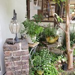 コメルコメル - 緑が素敵すぎるぅ～