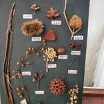 コメルコメル - これも～