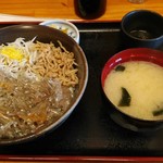 マイアミ貝新 - 