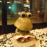 炭火焙煎珈琲 桜乃 - 読書好きなカエルくんもいます