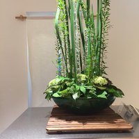 日本料理 藤井 - 