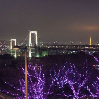 距臺場海濱公園站步行僅2分鐘，可欣賞夜景的好位置