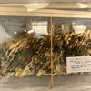 有賀藤 プレナ幕張店