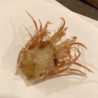 天白 - 一品目