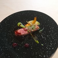 スミレオオサカ - 