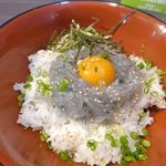しらす本家 どろめ - 「生しらす丼」は、ごはんの上に生しらす、黄身がトッピングされて大変フォトジェニック！