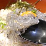 しらす本家 どろめ - まずは何もつけずに生しらすを味わってみると、港町で食べる生しらす同様に生臭さ0！加えて青魚ならではの風味と、口の中でとろけるような柔らかな食感がたまりません！