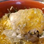 しらす本家 どろめ - しっかりとかき混ぜてご飯と一緒に黄身＆生しらすを乗せて食べてみると、とろけるような食感と青魚の風味満点な生しらすに醤油の塩気、黄身のコクのある風味がふっくらと炊きあがったご飯に馴染んでウマウマ！