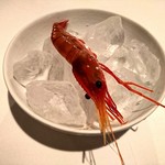 レストラン・モリエール - ボタンエビ（調理前）