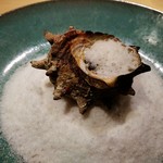 L'eau Blanche - サザエ