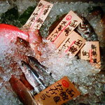 魚問屋　魚一商店 松戸直売所 - おさかな