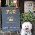 北出食堂 - 手作りタコスを食べよう！