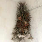 北出食堂 - 素敵〜♬