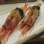 名代 駒寿司 - 甘エビ握り