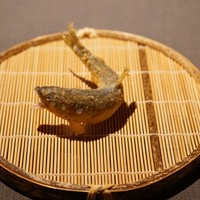 茶禅華 - 