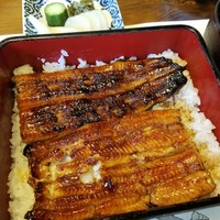 川越 いちのや - 鰻コース