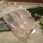 鮨まつい - マコ鰈