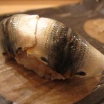 鮨まつい - シンコ