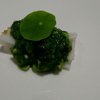 bb9 - 烏賊