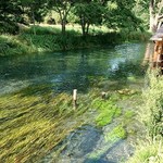 大王わさび農場 市川農園 - 