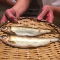 日本料理 太月 - 