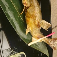 日本料理 御河 - 