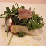 ソラリア - 厚岸のサンマとルッコラのサラダ