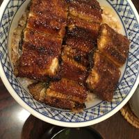 うなぎの新甫 - 