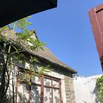 プチガーデン下北沢 - めっちゃ天気いい