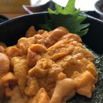 あとい食堂 - 乗っけたうに丼