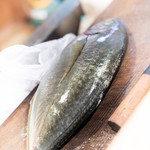 うを徳 - 縞鰺（しまあぢ）