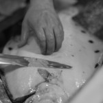 うを徳 - 星鰈（ほしがれひ）、六百七十匁（≒2.5kg）