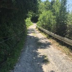 炭焼地鶏 山蔵 - 車１台しか通れません