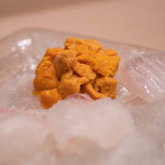 うを徳 - 蝦夷馬糞海膽（えぞばふんうに）