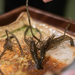 うを徳 - 手長鰕（てながえび）