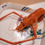 うを徳 - 手長鰕（てながえび）