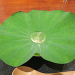 傳 - 30年7月　蓮の葉とトマトのスープ