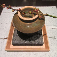 日本料理 TOBIUME - 始まり