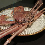 日本料理 TOBIUME - この日の主役！タグ付き加能蟹