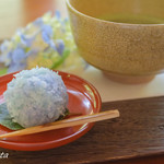 安寧 - 紫陽花アップ